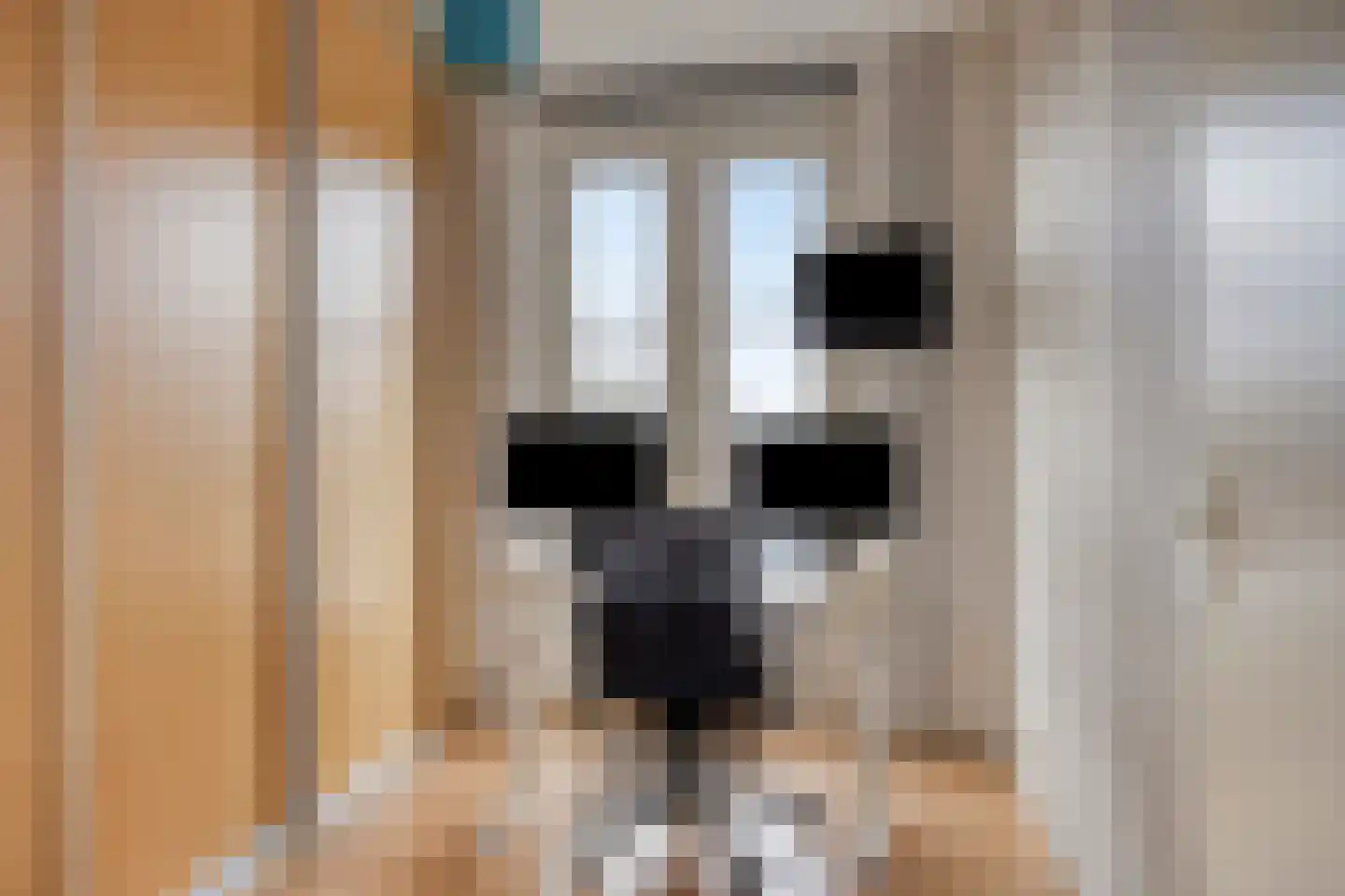 Fossa 1 Noordwijkerhout thumbnail 31