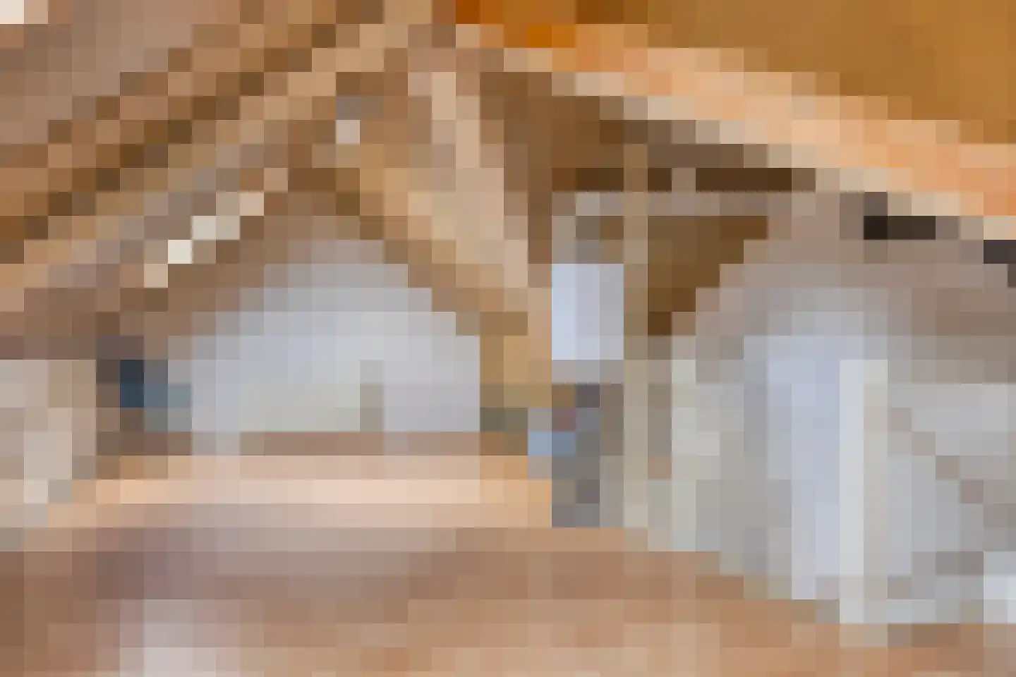 Fossa 1 Noordwijkerhout thumbnail 32