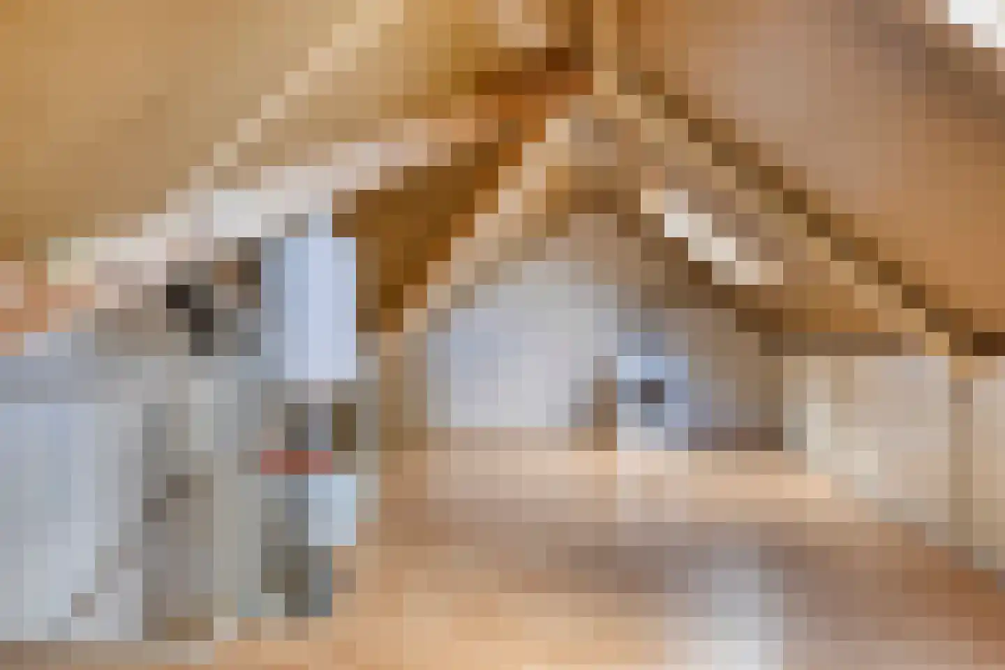 Fossa 1 Noordwijkerhout thumbnail 33