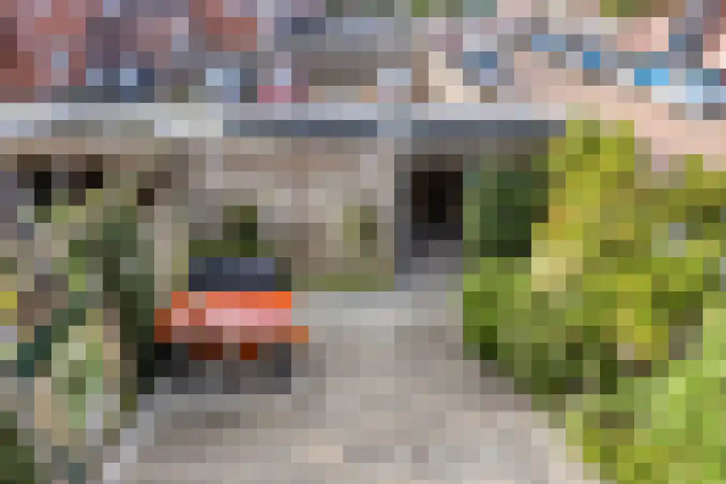 Fossa 1 Noordwijkerhout thumbnail 34