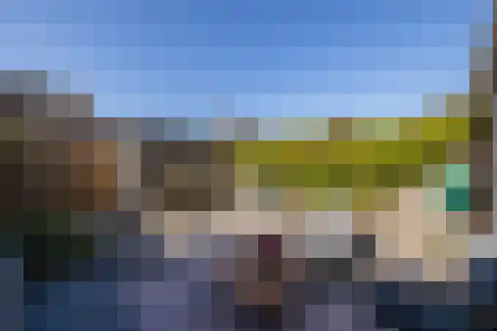 Fossa 11 Noordwijkerhout thumbnail 10