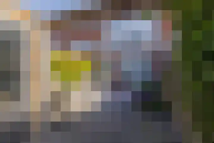 Fossa 11 Noordwijkerhout thumbnail 11