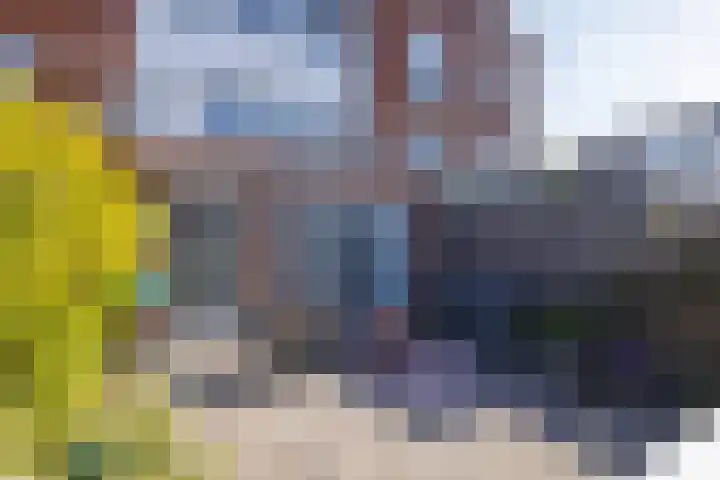 Fossa 11 Noordwijkerhout thumbnail 12