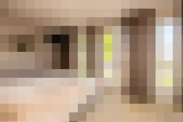 Fossa 11 Noordwijkerhout thumbnail 14