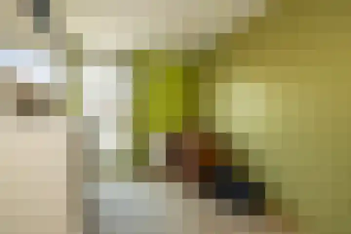 Fossa 11 Noordwijkerhout thumbnail 16