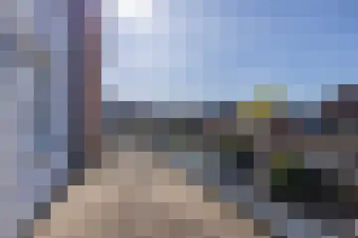Fossa 11 Noordwijkerhout thumbnail 18