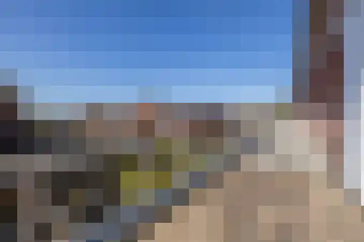Fossa 11 Noordwijkerhout thumbnail 19