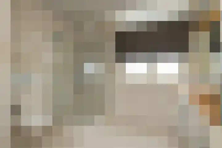 Fossa 11 Noordwijkerhout thumbnail 20