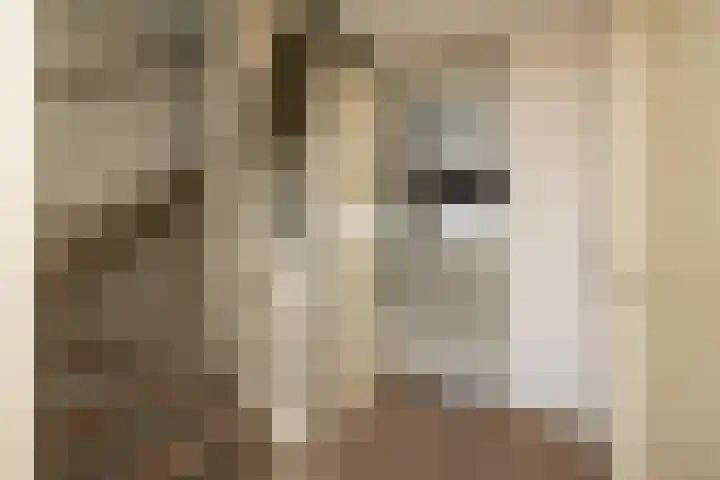 Fossa 11 Noordwijkerhout thumbnail 22