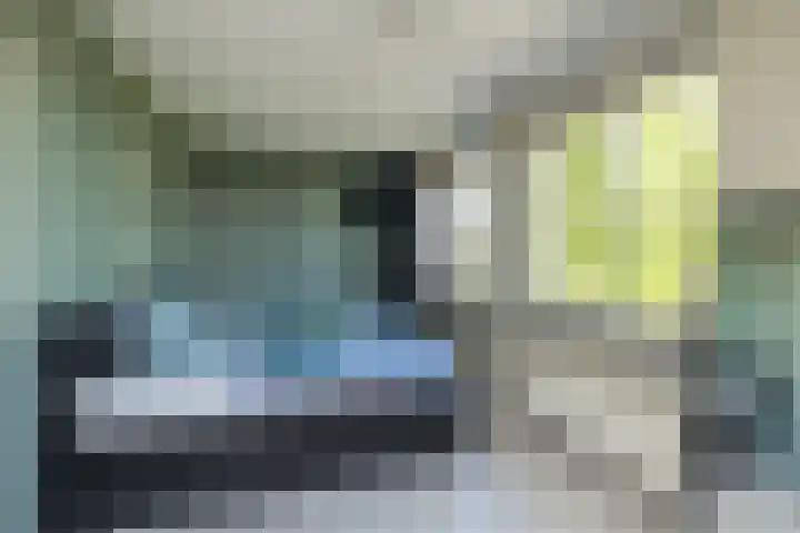 Fossa 11 Noordwijkerhout thumbnail 23
