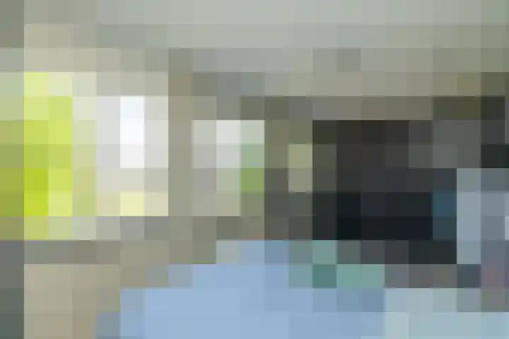 Fossa 11 Noordwijkerhout thumbnail 24