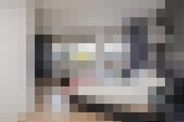 Fossa 11 Noordwijkerhout thumbnail 26