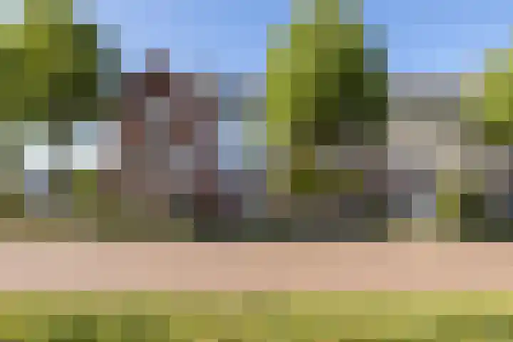 Fossa 11 Noordwijkerhout thumbnail 30