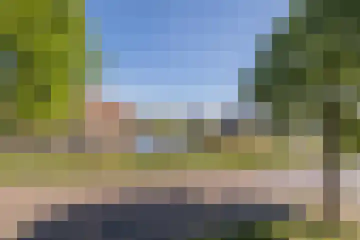 Fossa 11 Noordwijkerhout thumbnail 31