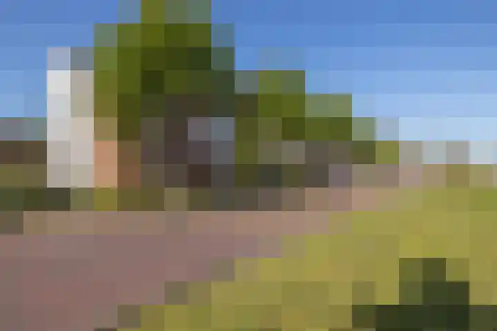 Fossa 11 Noordwijkerhout thumbnail 32