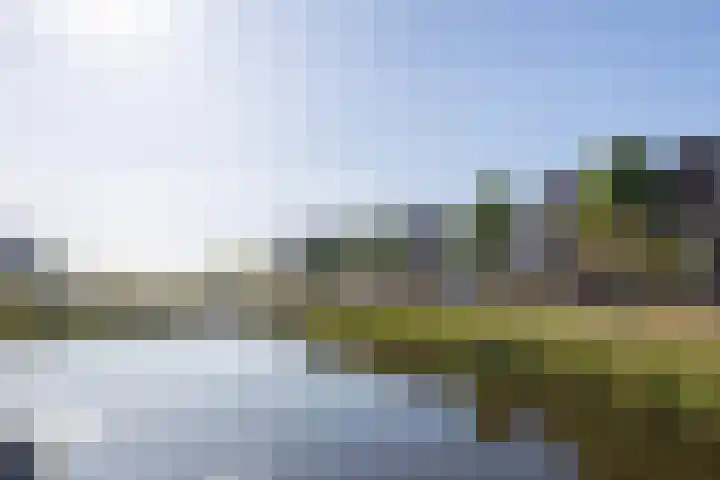 Fossa 11 Noordwijkerhout thumbnail 33