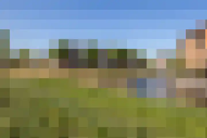 Fossa 11 Noordwijkerhout thumbnail 34
