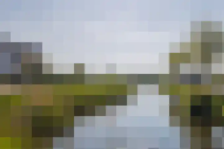 Fossa 11 Noordwijkerhout thumbnail 35