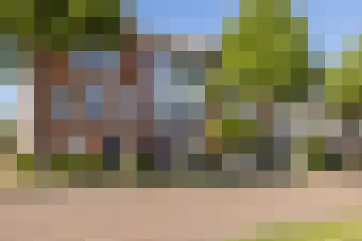 Fossa 11 Noordwijkerhout thumbnail 42
