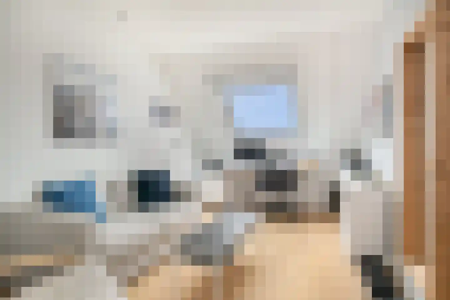 Fossa 16 Veldhoven thumbnail 25