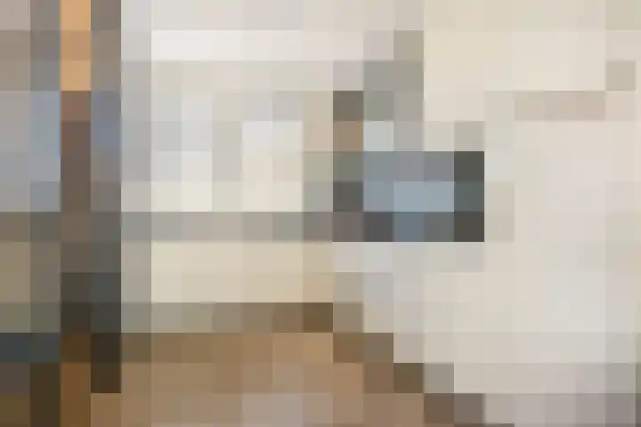 Fossa 6 Ewijk thumbnail 10