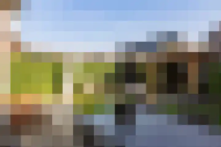 Fossa 6 Ewijk thumbnail 13