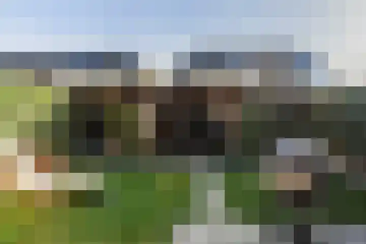 Fossa 6 Ewijk thumbnail 14