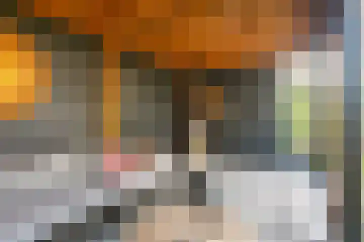 Fossa 6 Ewijk thumbnail 16