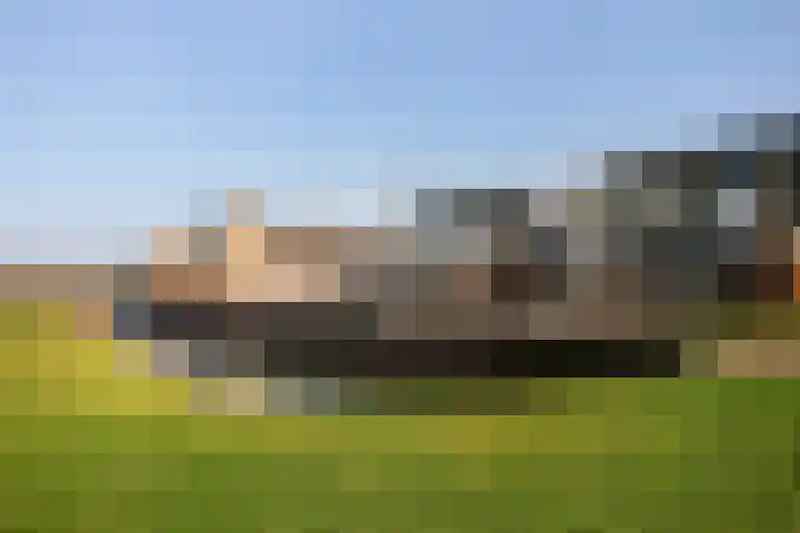 Fossa 6 Ewijk thumbnail 29