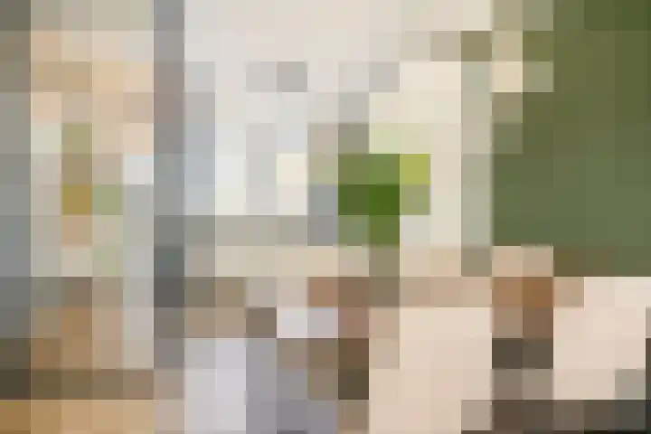 Fossa 6 Ewijk thumbnail 9