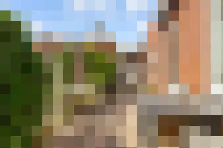 Fossa Iberica 21 Houten thumbnail 32