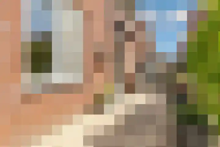 Fossa Iberica 21 Houten thumbnail 34