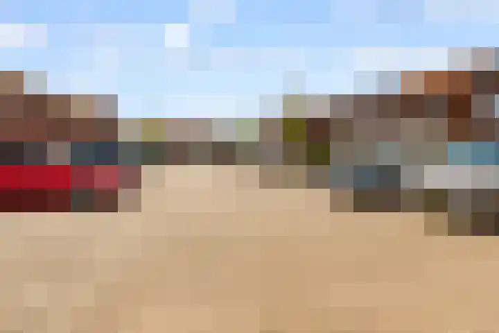 Fossa Iberica 21 Houten thumbnail 37