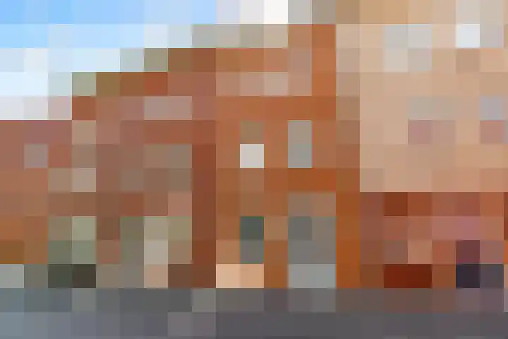 Fossa Iberica 21 Houten thumbnail 38