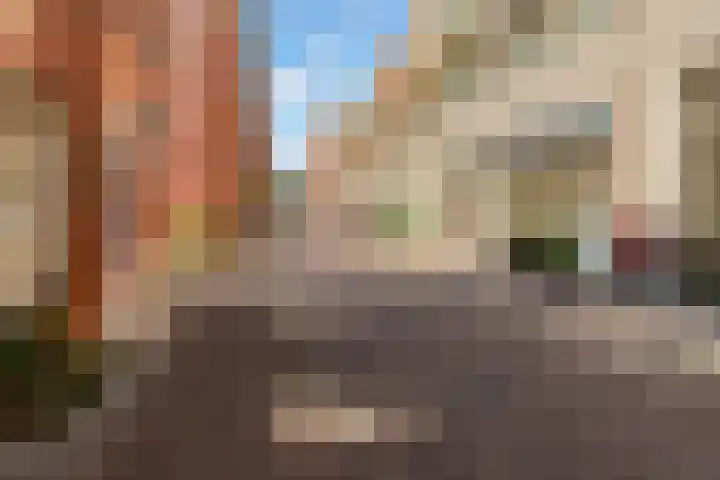 Fossa Iberica 21 Houten thumbnail 39