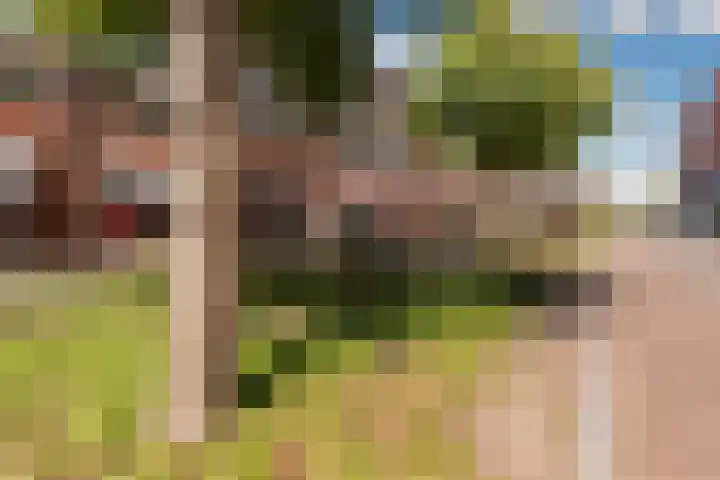 Fossa Iberica 21 Houten thumbnail 40