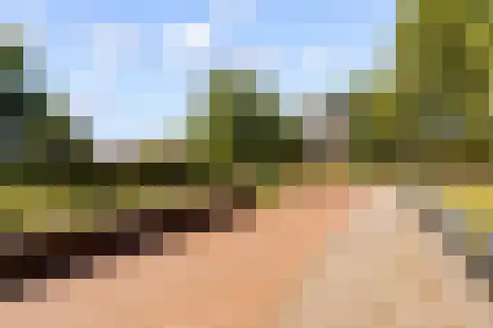 Fossa Iberica 21 Houten thumbnail 41