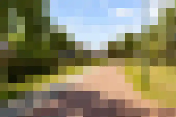 Fossa Iberica 21 Houten thumbnail 42