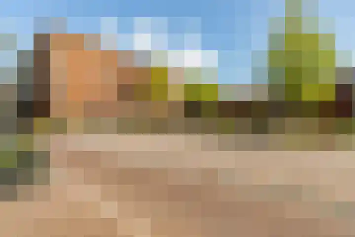 Fossa Iberica 21 Houten thumbnail 44