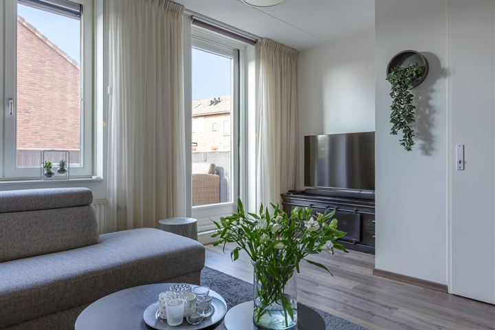 Fossa Iberica 3 in Houten Foto