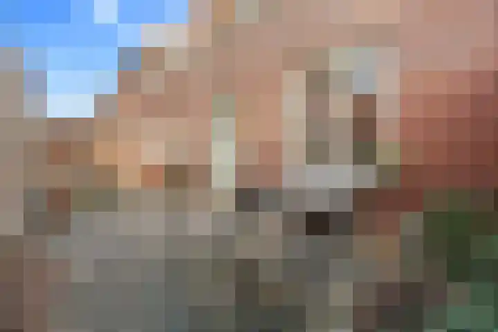 Fossa Iberica 33 Houten thumbnail 17