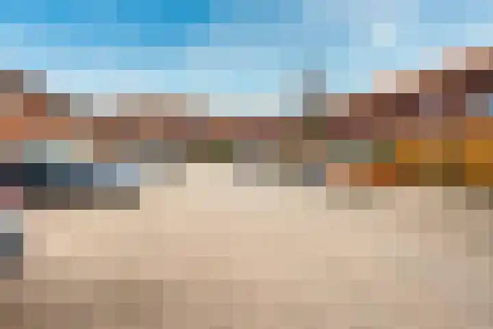 Fossa Iberica 49 Houten thumbnail 41