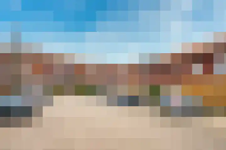 Fossa Iberica 49 Houten thumbnail 42