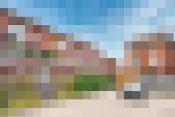 Fossa Iberica 49 Houten thumbnail 44