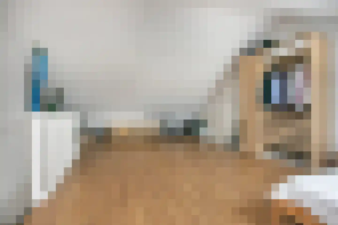 Fossa Italica 120 Houten thumbnail 27