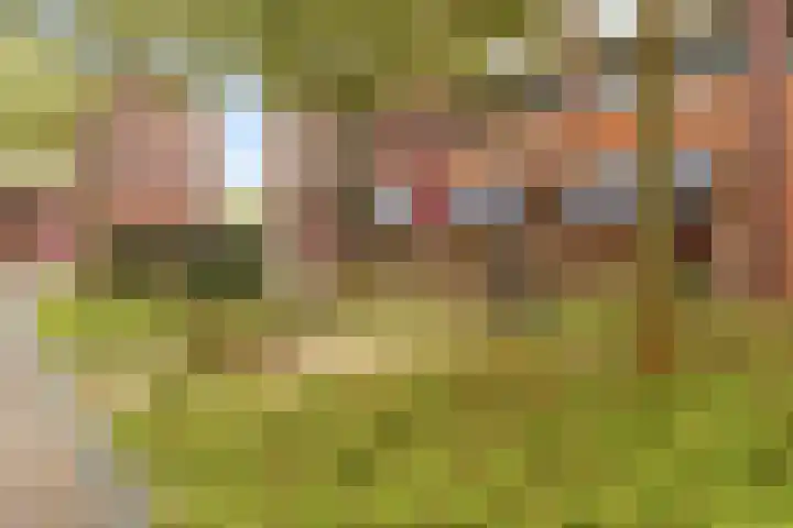 Fossa Italica 137 Houten thumbnail 23