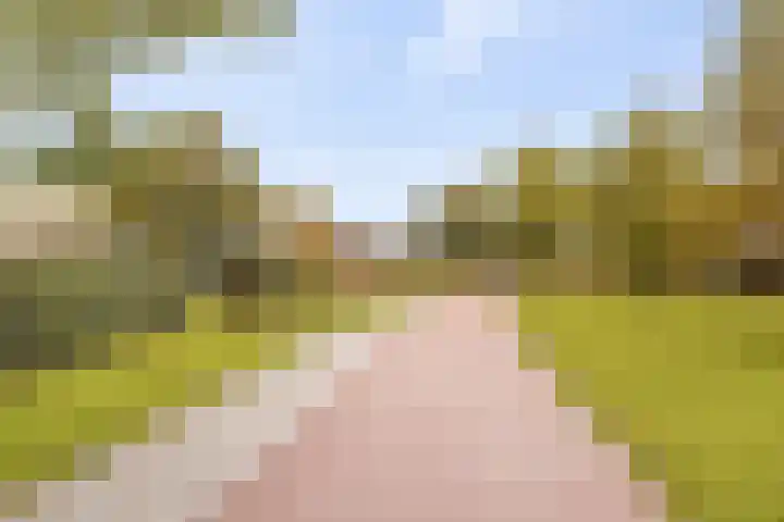 Fossa Italica 137 Houten thumbnail 24