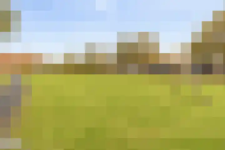 Fossa Italica 137 Houten thumbnail 25
