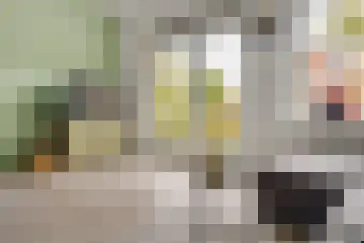 Fossa Italica 137 Houten thumbnail 6