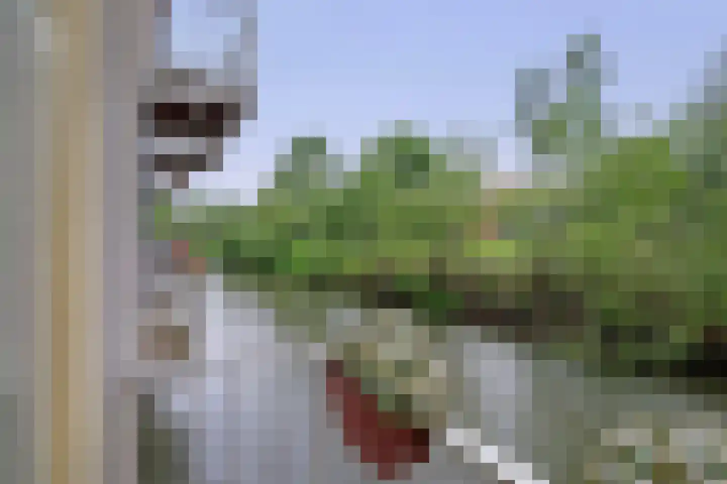 Fossa Italica 143 Houten thumbnail 11